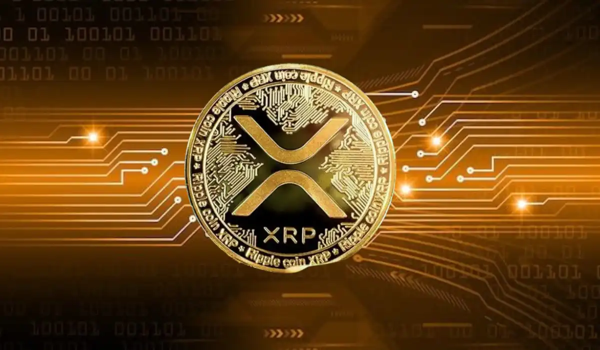 XRP’s Open Interest Drops