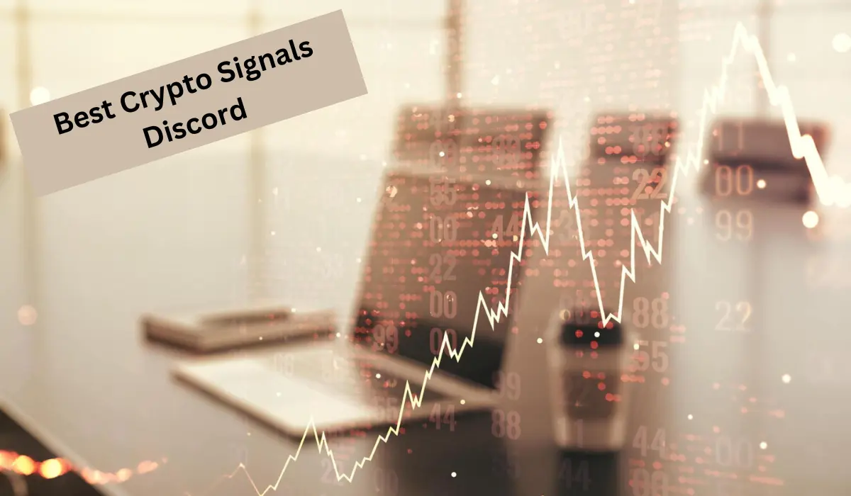 Best Crypto Signals Discord Groups