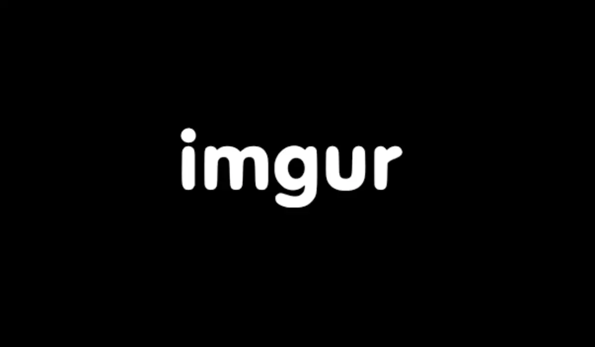 Imgur Website