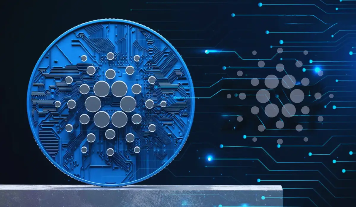 Cardano Ecosystem