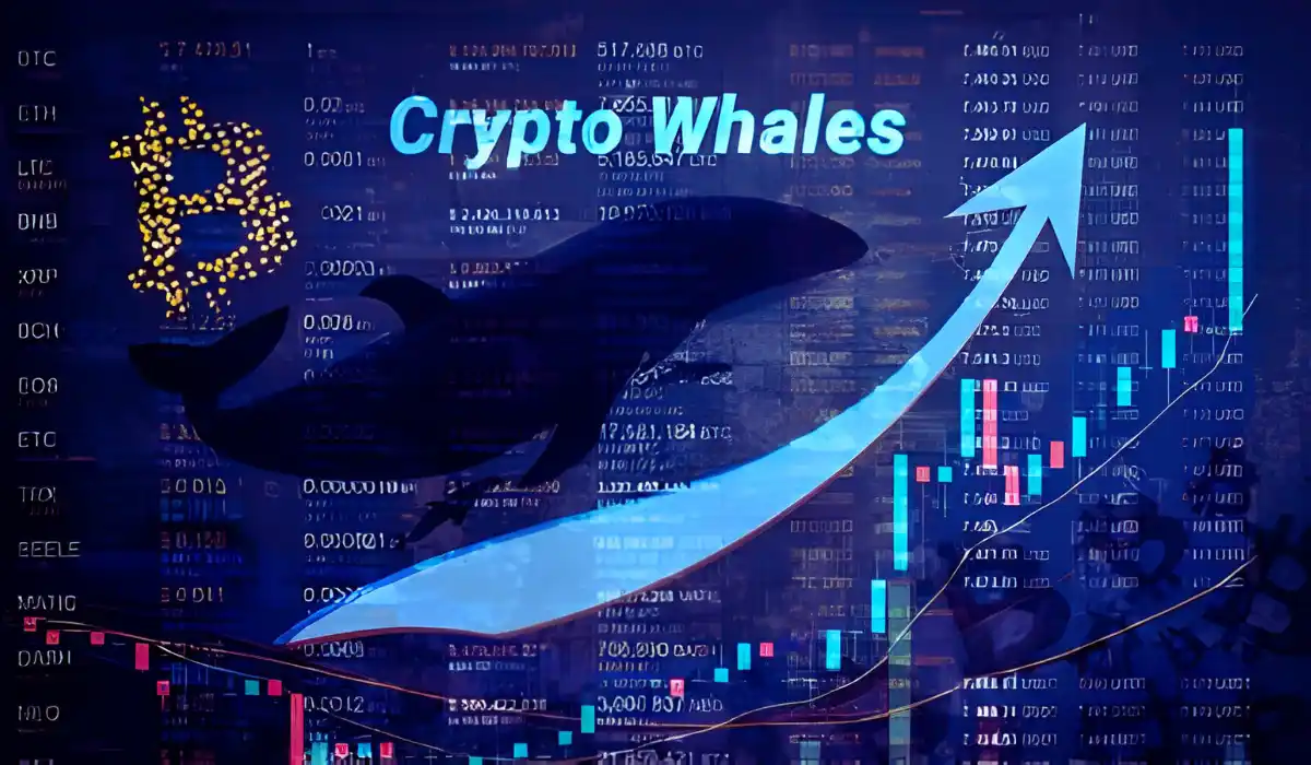 crypto whales