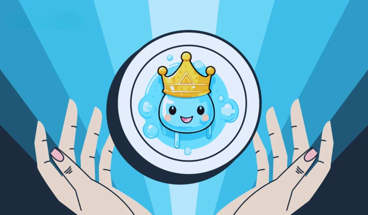 Rain coin price prediction