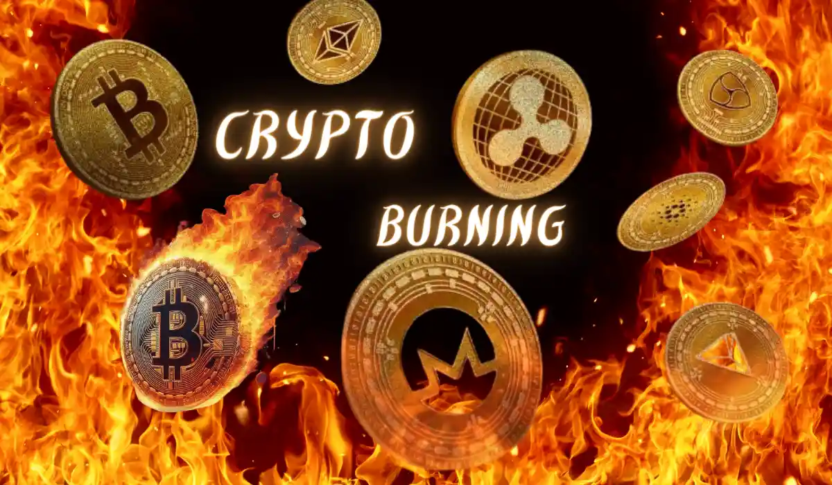 Crypto burning