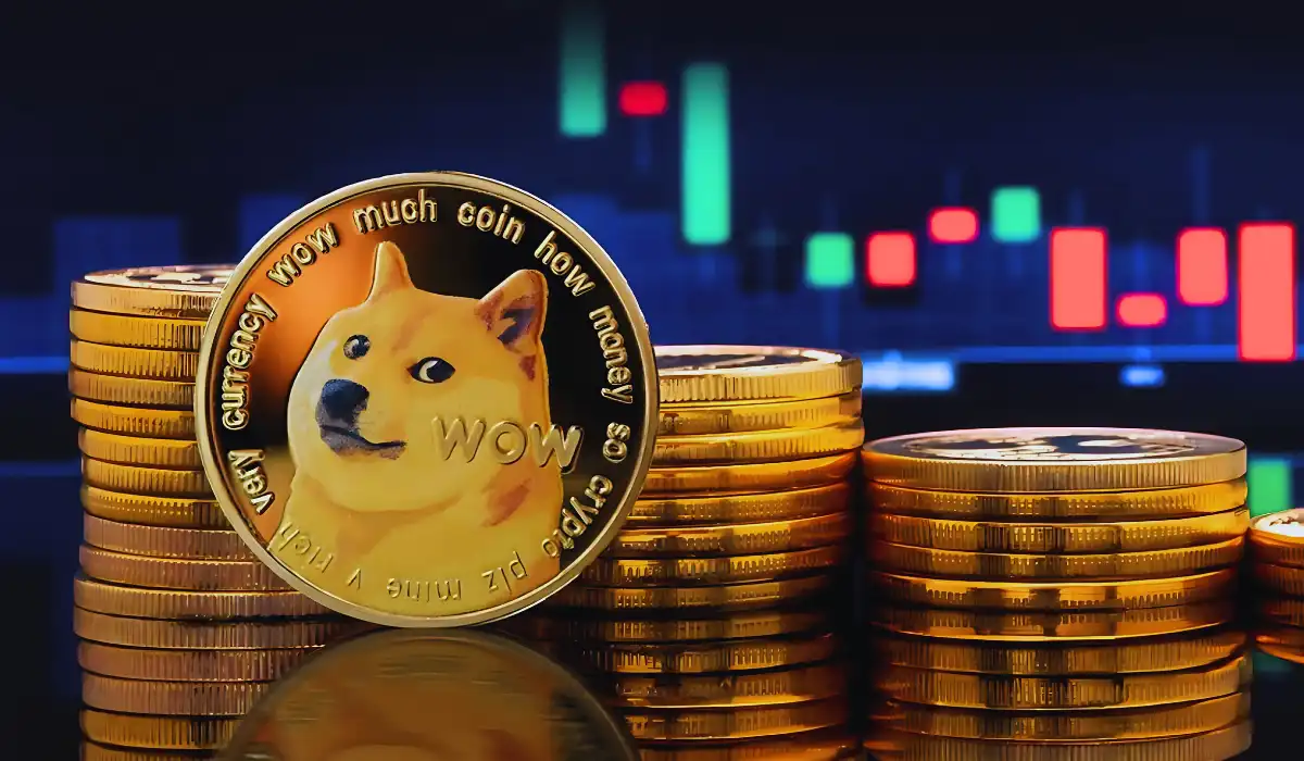 Dogecoin's Journey